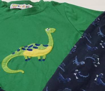 Schlafanzug Gr. 98 (3948)